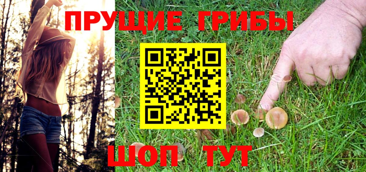 цена   Галлюциногенные грибы GOLDEN TEACHER  Вход с VPN  Галлюциногенные грибы MAGIC MUSHROOMS  Ржев 