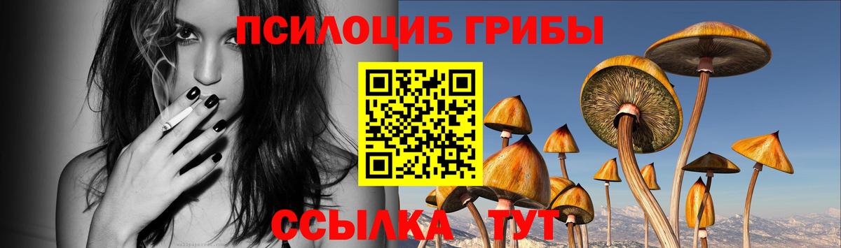 Псилоцибиновые грибы Cubensis Ржев